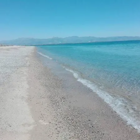 Mare 